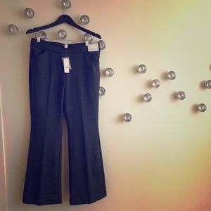 NWT City Knit Bootcut Pants from New York & Co